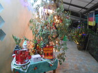 DSCN0018.JPG