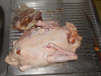 DSCN9583.JPG