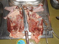 DSCN9588.JPG