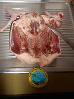 DSCN9584.JPG