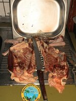 DSCN9586~4.JPG