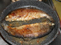 DSCN9633.JPG