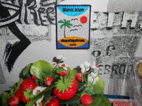 DSCN8081.JPG