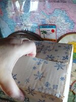 IMG_20171116_175121.jpg