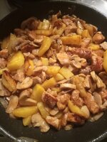 IMG_20231215_185118_109.jpg