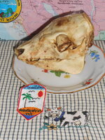 DSCN9963.JPG