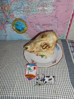 DSCN9962.JPG