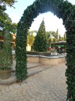 IMG_20180103_220648.jpg