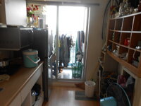 DSCN8446.JPG