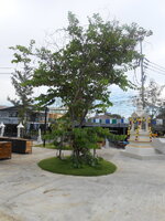 DSCN1632.JPG
