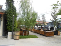 DSCN1634.JPG