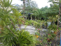 DSCN1642.JPG