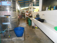 DSCN1643.JPG