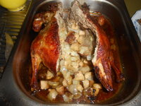 DSCN0043.JPG