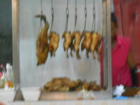 DSCN8384.JPG