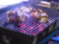 DSCN8455.JPG