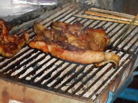 DSCN8456.JPG