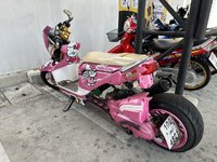 IMG_4008.jpeg
