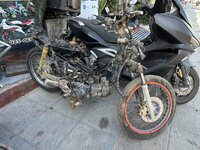 IMG_3984.jpeg