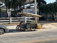 IMG_3355.jpeg