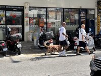 IMG_4098.jpeg