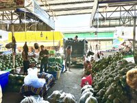 IMG_4169.jpeg