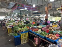 IMG_4149.jpeg
