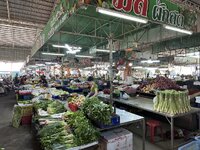 IMG_4151.jpeg