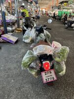 IMG_4161.jpeg