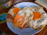 DSCN9785.JPG