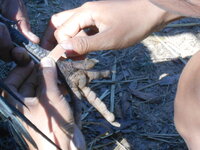 DSCN9952.JPG