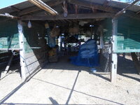 DSCN9965.JPG