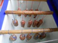 DSCN9821.JPG