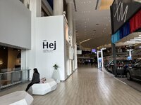 IMG_4891.jpeg