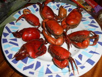 DSCN9950.JPG