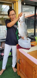 Riesenfisch.jpg Riesenfisch.jpg