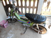 DSCN0027.JPG