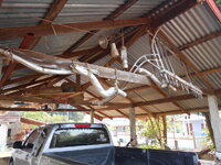 DSCN0098.JPG