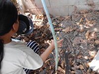DSCN8382.JPG