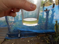 DSCN8417.JPG