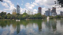 20180927_131243.jpg