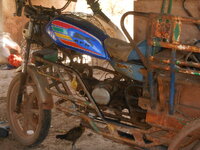 DSCN1336.JPG