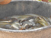 DSCN8326.JPG
