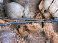 DSCN8886.JPG