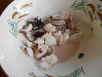 DSCN0003.JPG