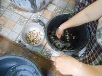DSCN0058.JPG