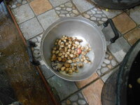 DSCN0059.JPG