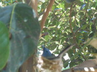 DSCN0090.JPG