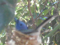 DSCN0091.JPG