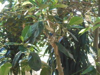 DSCN0088.JPG